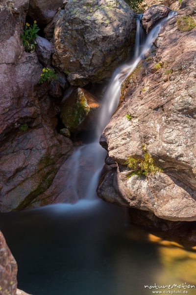 Wasserfälle, Kaskaden und Gumpen im Foggialetal, Korsika, Frankreich