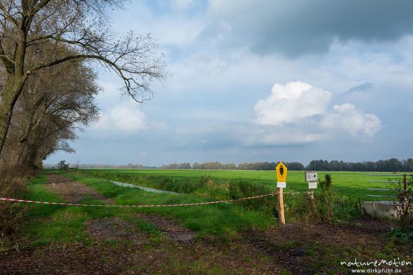 abgesperrte Wiese, Übernachtungsplatz für Kraniche, Linum, Rhinluch, Deutschland