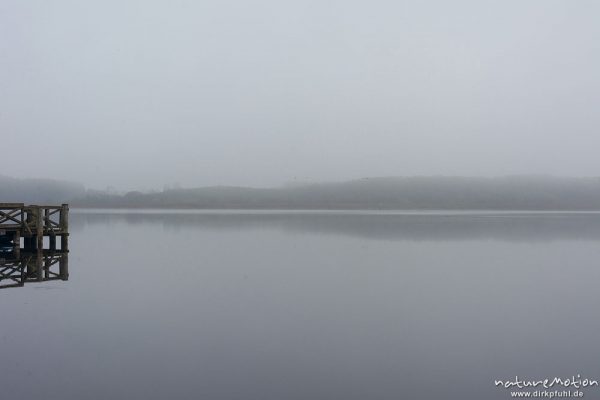 Anleger, Hafen von Wustrau, Ruppiner See, Morgennebel, ,