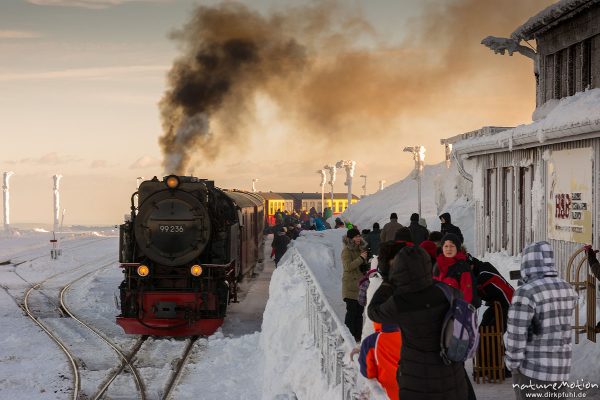 Dampflokomotive, Harzer Schmalspurbahn, Brockenbahn, Winter, Schnee, Harz, Deutschland