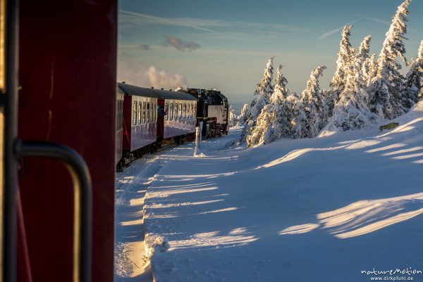 Dampflokomotive, Harzer Schmalspurbahn, Brockenbahn, Winter, Schnee, Harz, Deutschland
