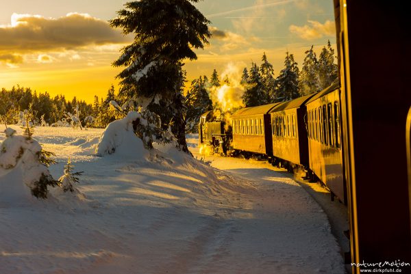 Dampflokomotive, Harzer Schmalspurbahn, Brockenbahn, Winter, Schnee, Harz, Deutschland