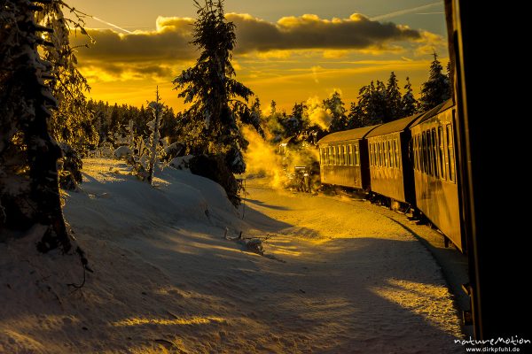 Dampflokomotive, Harzer Schmalspurbahn, Brockenbahn, Winter, Schnee, Harz, Deutschland