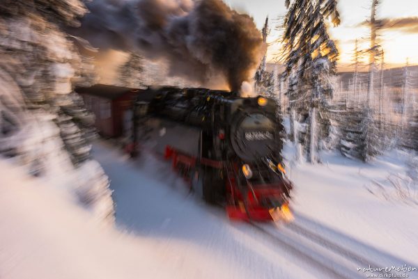 Dampflokomotive, Harzer Schmalspurbahn, Brockenbahn, Winter, Schnee, Harz, Deutschland