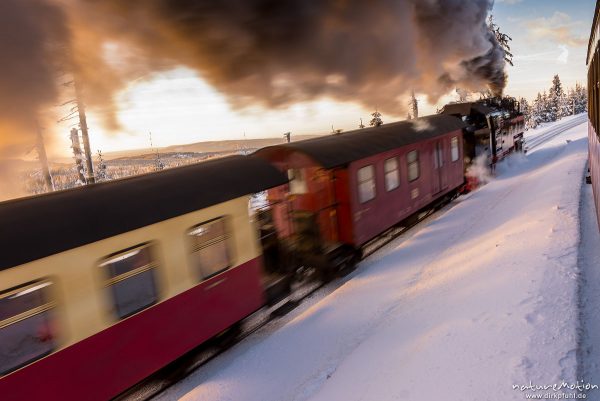 Dampflokomotive, Harzer Schmalspurbahn, Brockenbahn, Winter, Schnee, Harz, Deutschland