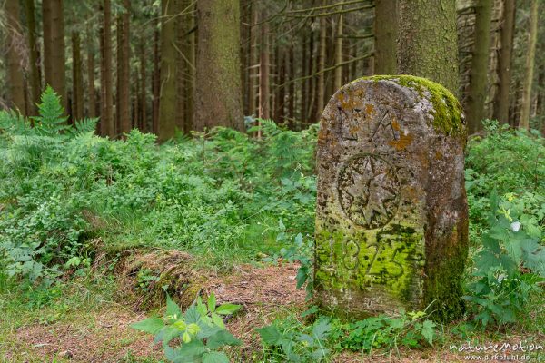 alter Grenzstein von 1825 an der Grneze zwischen Hessen und Nordrhein-Westfalen, Langenberg, Niedersfeld (Sauerland), Deutschland