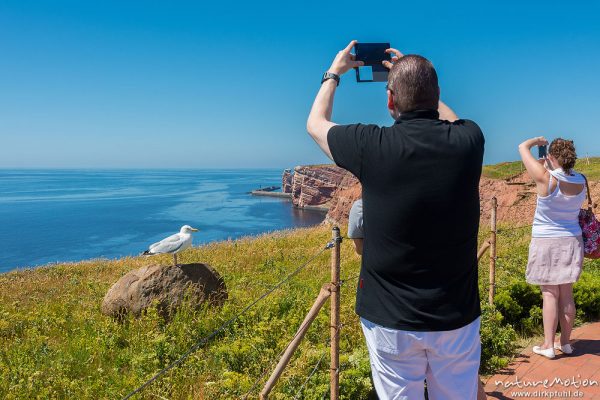 Touristen fotografieren die Felsküste, Helgoland, Deutschland