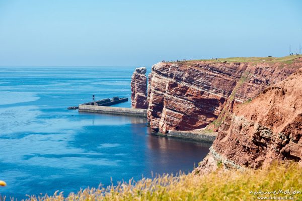 Lange Anna und Lummenfelsen, Felsküste mit Brutvogelkolonie, Helgoland, Deutschland