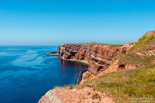 Lange Anna und Lummenfelsen, Felsküste mit Brutvogelkolonie, Helgoland, Deutschland