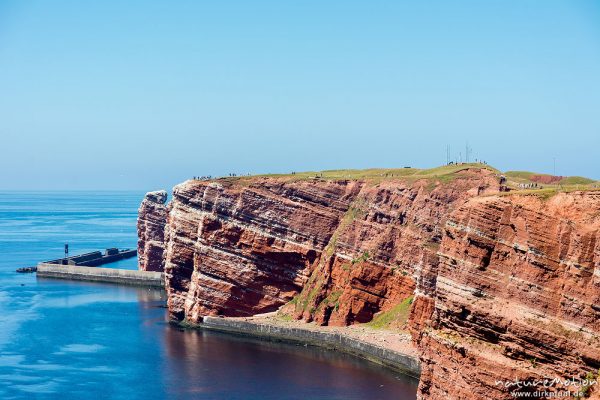 Lange Anna und Lummenfelsen, Felsküste mit Brutvogelkolonie, Helgoland, Deutschland