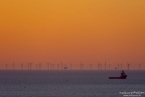 Offshore Windpark Meerwind Süd/Ost, Sonnenuntergang, Helgoland, Deutschland