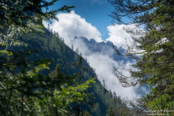 Cristello-Gruppe im Morgennebel, Knappenfußtal, Dolomiten, Italien