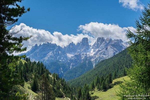 Cristello-Gruppe, Platzwiese, Standort: Dürrensteinhütte, Dolomiten, Italien