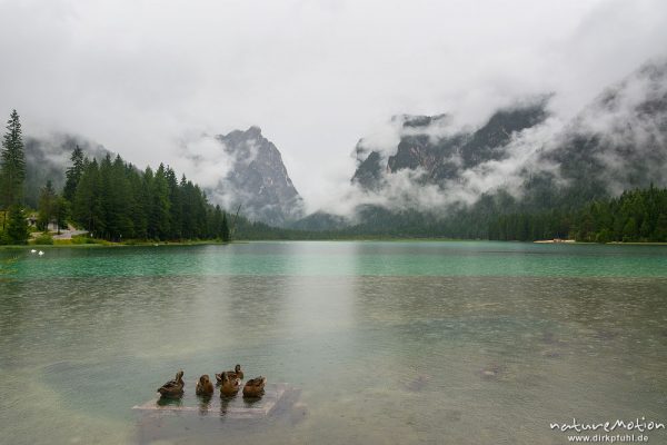 Toblacher See, Regenwolken, Toblach, Italien