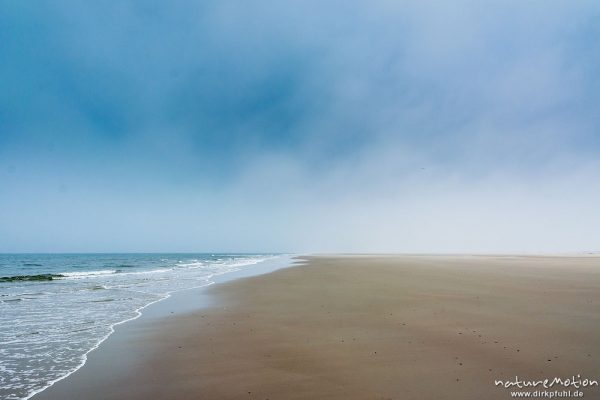 Spülsaum, Strand und Sandmuster, ,