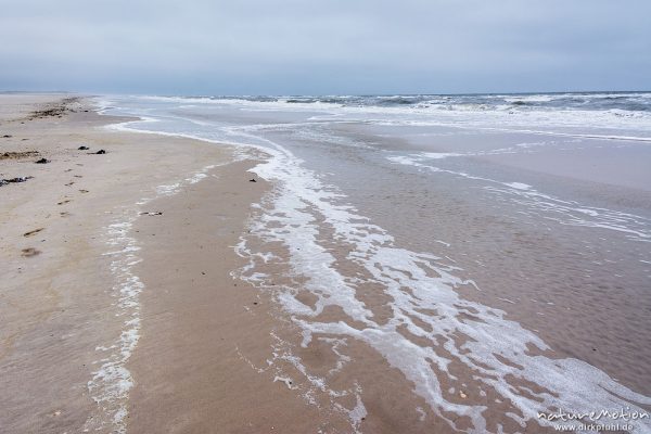 Spülsaum mit Brandung und Schaum, Strand bei ablaufendem Wasser, Spiekeroog, Deutschland