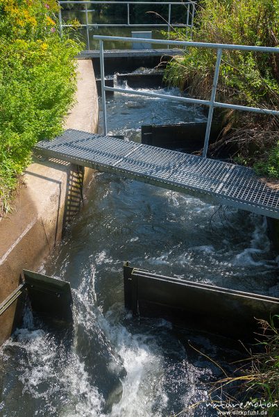 Fischtreppe, Fischpass, Fischwanderhilfe, Wehr bei Greene, Greene (Leine), Deutschland