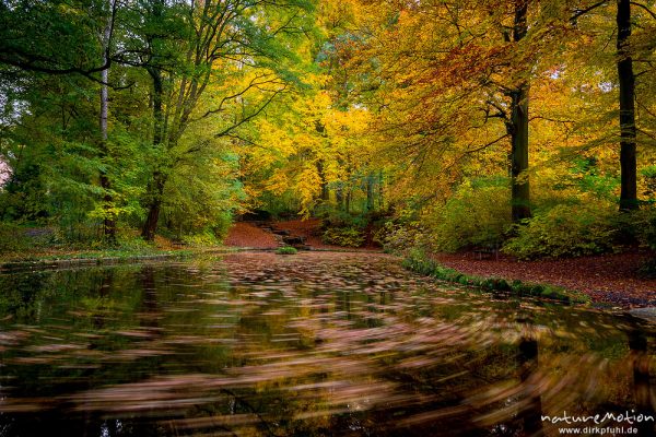 Teich mit Herbstlaub, Bäume in Herbstfärbung, Blätter treiben auf Wasseroberfläche, lange Belichtungszeit, Schillerwiesen, Göttingen, Deutschland