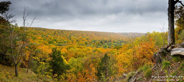 Herbstwald, Blick von den Kalksteinklippen der Ratsburg, Reyershausen bei Göttingen, Deutschland