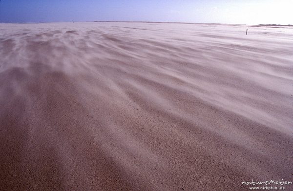heller Sand weht in Linien über dunklen, nassen Sand, Spiekeroog, Deutschland