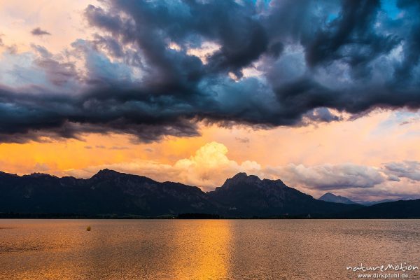 Abendlicht am Forggensee, Füssen, Deutschland