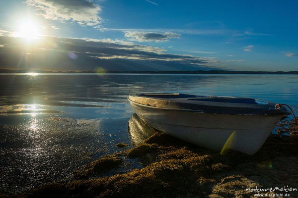 Rudeboot an der Boddenküste, Abendlicht, Gager, Rügen, Deutschland