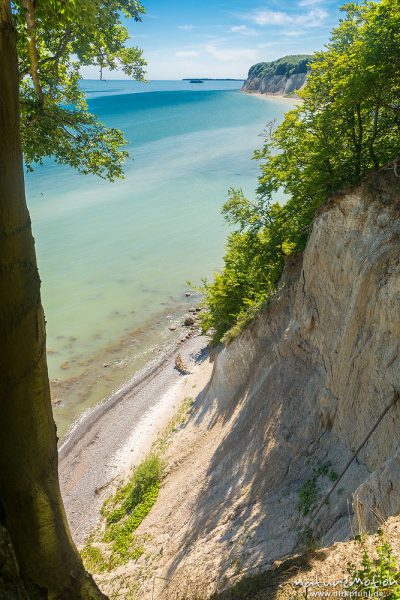 Kreideküste mit Buchenwald, Jasmund, Rügen, Deutschland