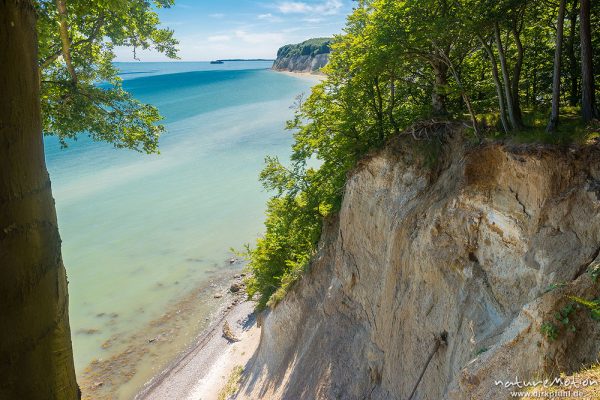 Kreideküste mit Buchenwald, Jasmund, Rügen, Deutschland