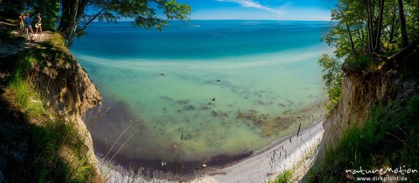 Kreideküste mit Buchenwald, Jasmund, Rügen, Deutschland