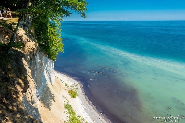 Kreideküste mit Buchenwald, Jasmund, Rügen, Deutschland