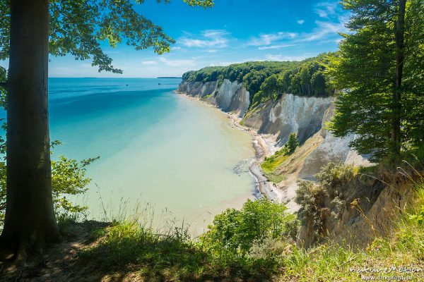 Kreideküste mit Buchenwald, Jasmund, Rügen, Deutschland