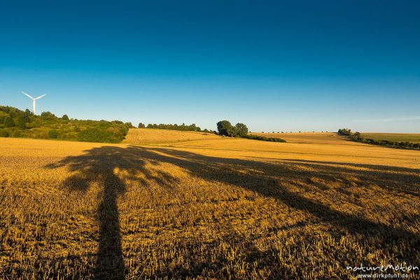 lange Schatten fallen über abgeerntete Felder, letzte Erntearbeiten im Spätsommer, Leineauen, Diemardener Warte, Göttingen, Deutschland
