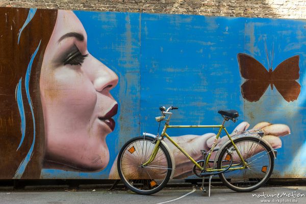 Grafiti mit Fahrrad, Hinterhof Kreuzberg, Berlin, Deutschland