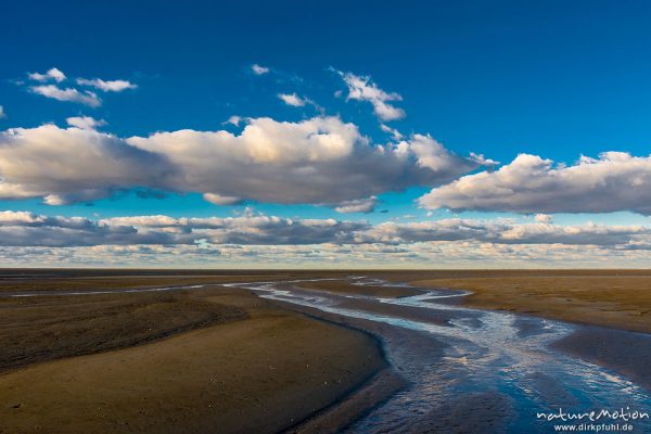 Priele bei ablaufendem Wasser, Sonnenuntergang über dem Meer, Hohes Riff, Borkum, Deutschland