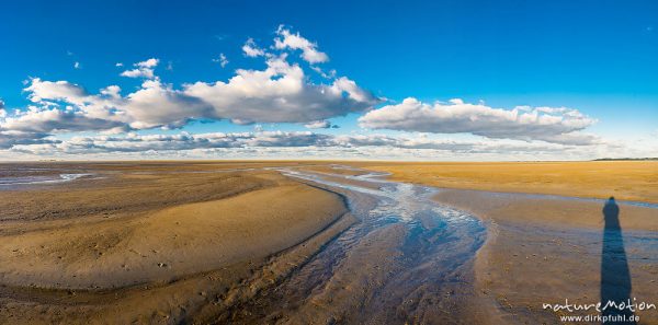 Priele bei ablaufendem Wasser, Sonnenuntergang über dem Meer, Hohes Riff, Borkum, Deutschland