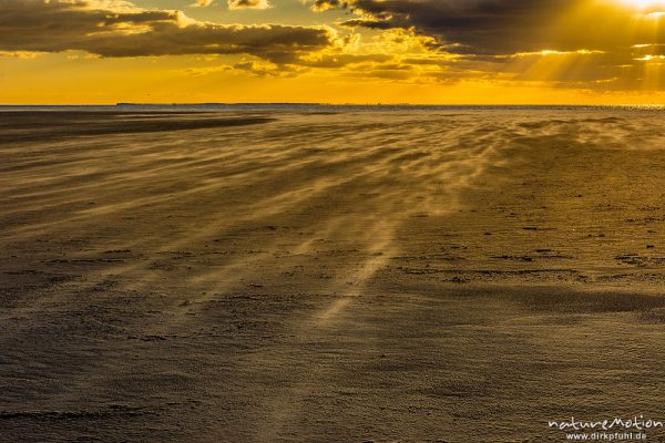 Sonnenuntergang über dem Meer, wehender Sand, Hohes Riff, Borkum, Deutschland