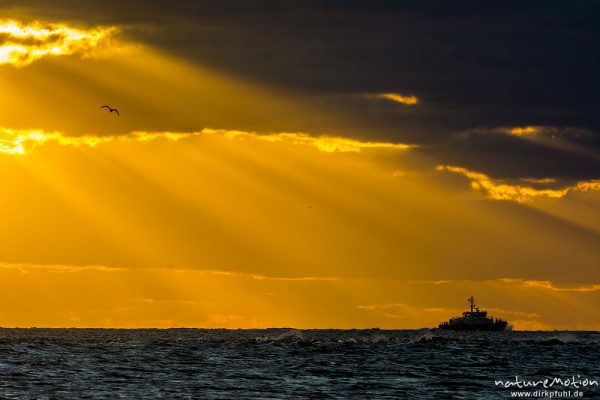 vorbeifahrendes Schiff, Sonnenuntergang über dem Meer, Hohes Riff, Borkum, Deutschland