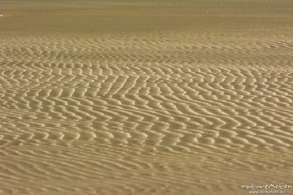 Rippel, Sandmuster, Oststrand, Hoge Hörn, Ebbe, Borkum, Deutschland