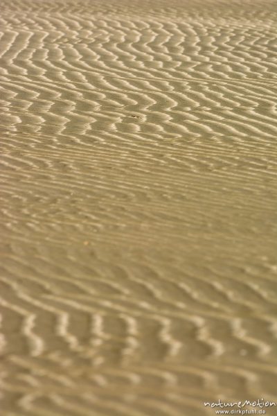 Rippel, Sandmuster, Oststrand, Hoge Hörn, Ebbe, Borkum, Deutschland