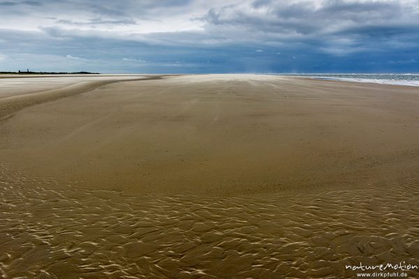 Sand weht über den Strand, Sandrippel und Regenwolken, Nordstrand, Borkum, Deutschland
