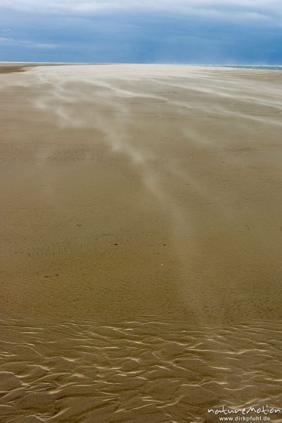 Sand weht über den Strand, Sandrippel und Regenwolken, Nordstrand, Borkum, Deutschland