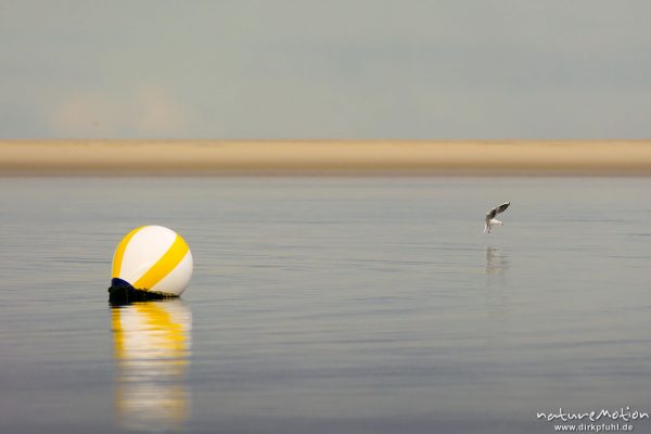 Boje vor Sandbank, Badestrand, Borkum, Deutschland