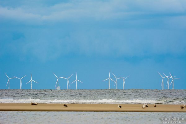 Offshore-Windpark Riffgat, Blick vom Nordstrand, Borkum, Deutschland