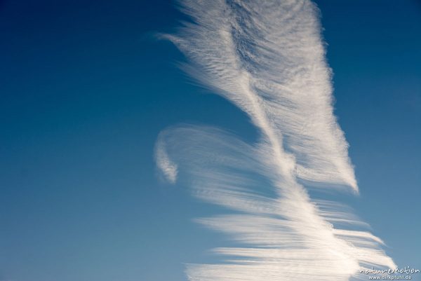 Wolkenfeder, Kondensstreifen am Himmel, aufgefächert zu einer Feder, Göttingen, Deutschland