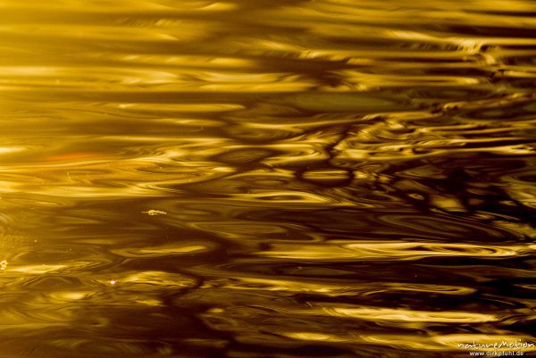 Lichtreflexe auf Wasseroberfläche, Seeburger See, Deutschland