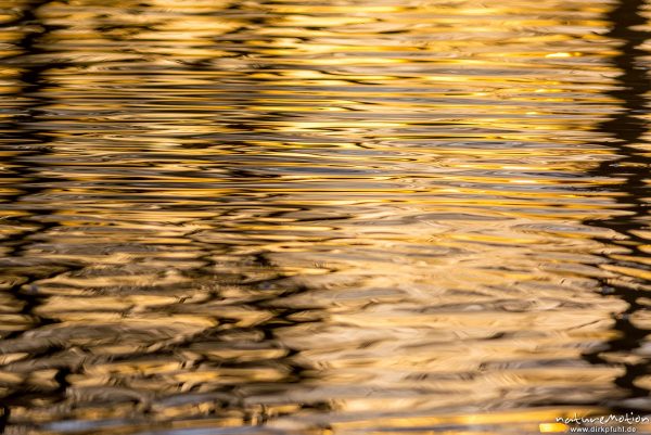 Lichtreflexe auf Wasseroberfläche, Seeburger See, Deutschland