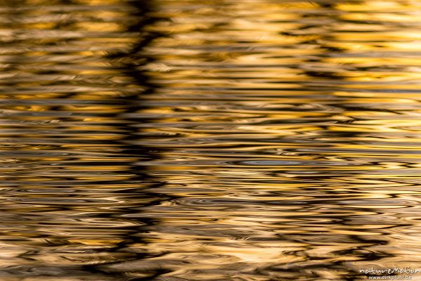 Lichtreflexe auf Wasseroberfläche, Seeburger See, Deutschland