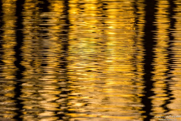 Lichtreflexe auf Wasseroberfläche, Seeburger See, Deutschland
