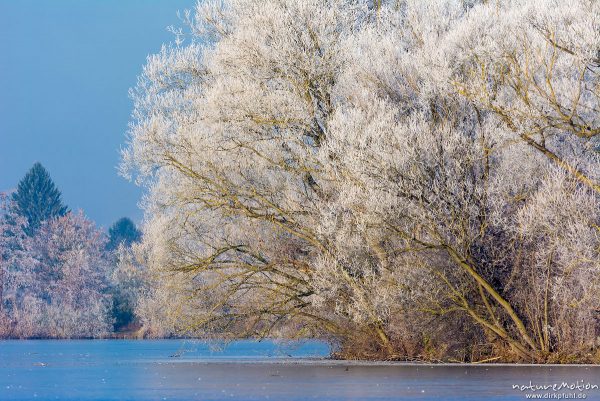 zugefrorener See, Bäume am Ufer mit Raureif bedeckt, Kiessee, Göttingen, Deutschland
