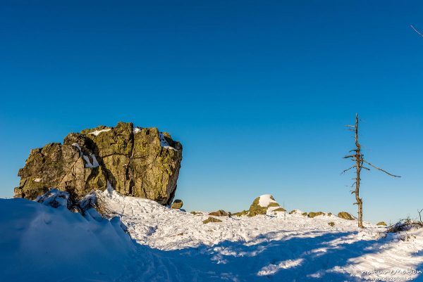 Felsen und abgestorbene Fichte, Hanskühnenburg Klippe, St. Andreasberg (Harz), Deutschland